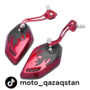 Айна светной 